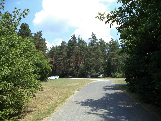 dsc08983-001.JPG