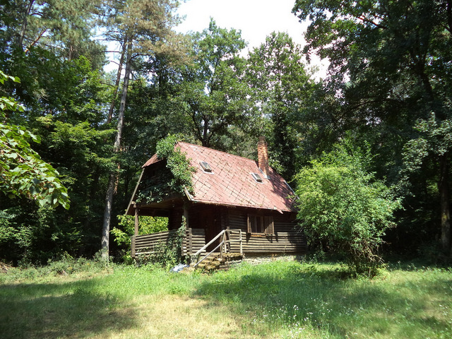 dsc08984-001.JPG