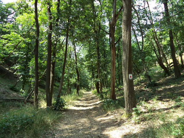 dsc08986-001.JPG