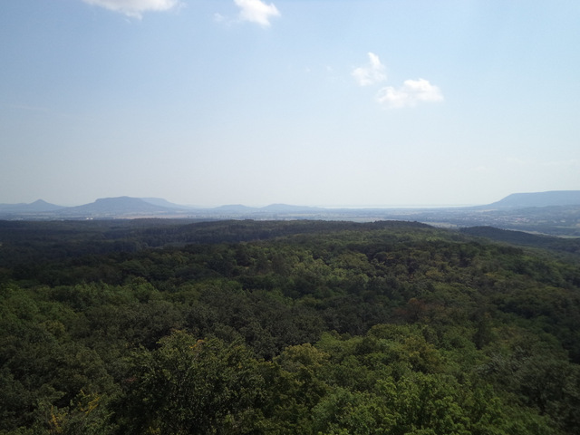 dsc08991-001.JPG