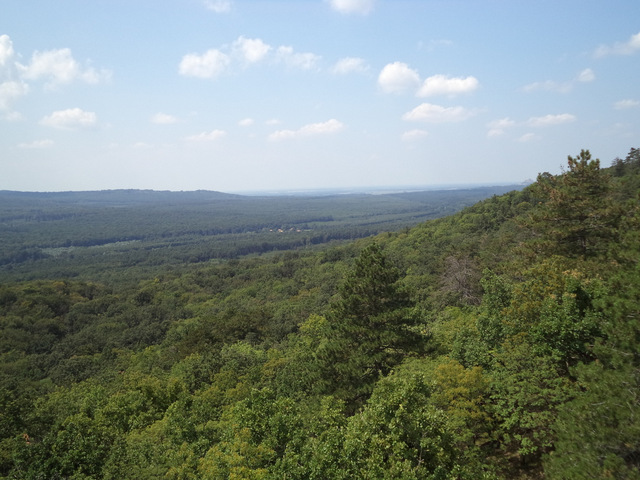 dsc08993-001.JPG
