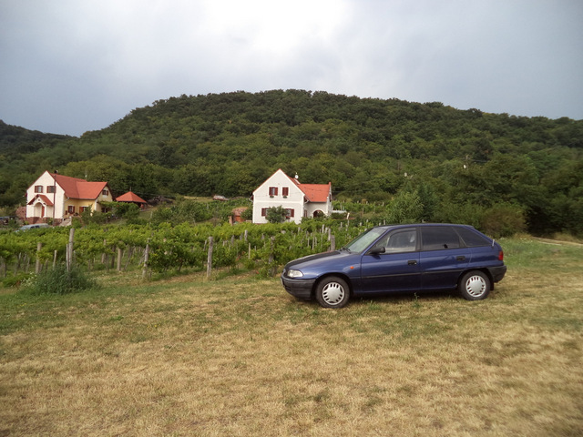 dsc09072-001.JPG