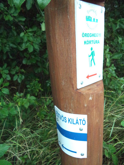 dsc09073-001.JPG