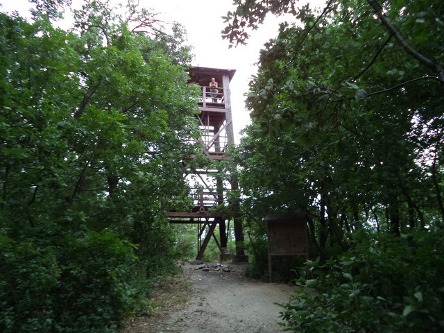 dsc09087-001.JPG