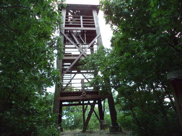 dsc09088-001.JPG