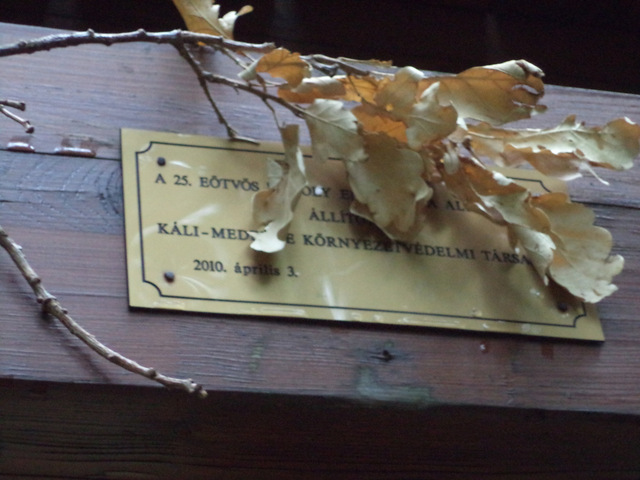 dsc09089-001.JPG