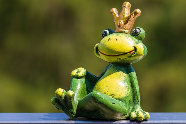frog-5428516_640.jpg
