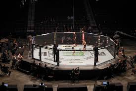 Justin Gaethje beats Tony Ferguson as UFC 249 ushers in fan-free,  mask-filled era of sports – The Denver Post