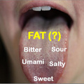 A zsír íze bele van írva a nyelvünkbe