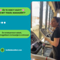 ☯️ Mozgás a stressz megelőzésére és kezelésére