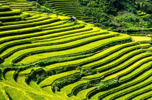 rice-terraces-164410_640.jpg