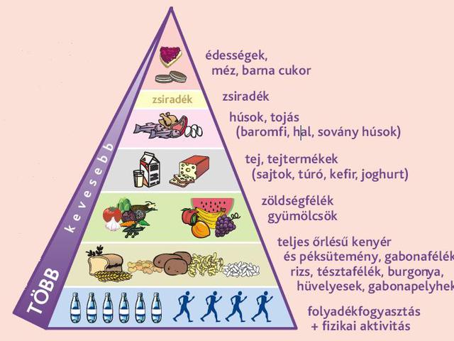 Helyes étrend alapjai 1. rész ( víz és szénhidrátok)
