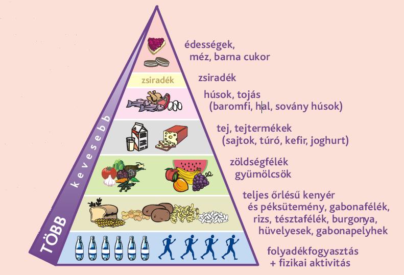 Ismerd meg a helyes táplálkozás alapelveit!