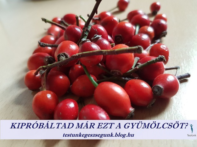 csipkebogyó gyümölcs magas vérnyomás ellen magas vérnyomás és cukorbetegség melletti menopauza