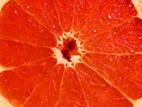 grapefruit 600x400.jpg