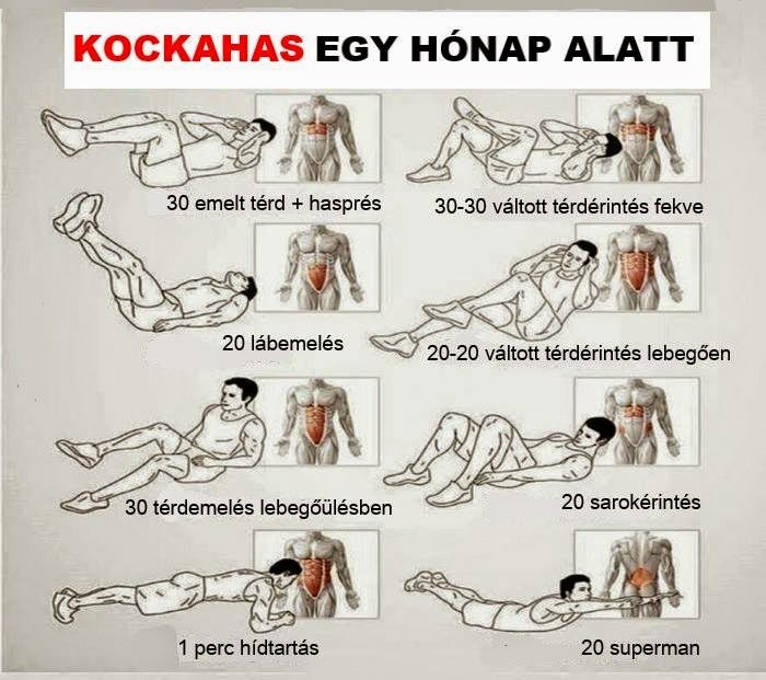 kockahas_1_honap_alatt.jpg