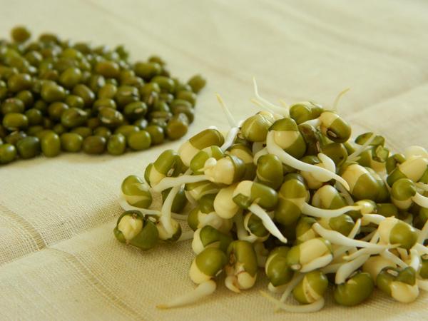mung bean sprouts.jpg