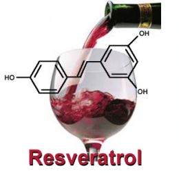 resveratrol-vörösbor.jpg