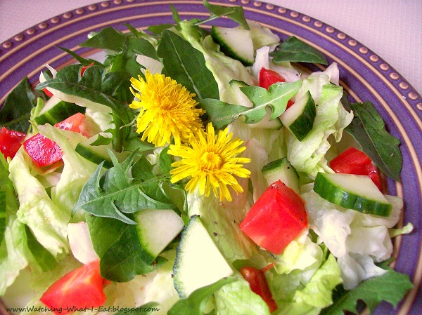 rukkola_salata_pitypang_salata