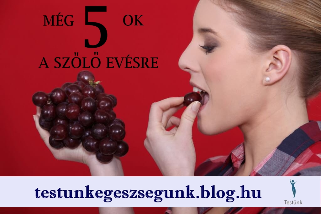 szolo_dieta_5_ok_a_szolo_evesre.jpg