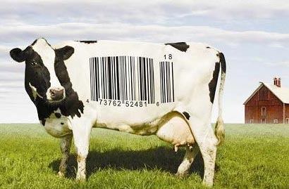 cow-with-barcode.jpg