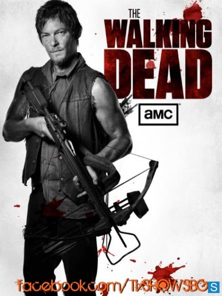 TWD_poster0_595_slogo.jpg