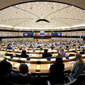 "Az Európai Parlament a demokrácia hiteles őre"