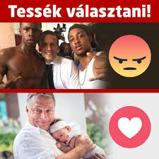 tessek_valasztani.jpg