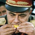 A magyar narancstermesztés A tanú című film fikciója