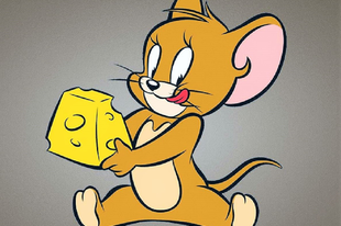 Az egerek szeretik a sajtot