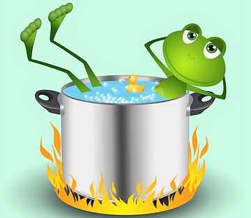 087_boiling_frog_stock_photo.jpg