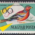 1961 Madarak (III.) 60 f (MBK 1863)