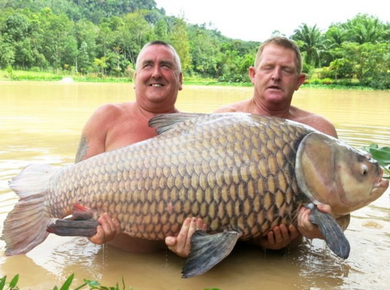 big_carp_world_record.jpg