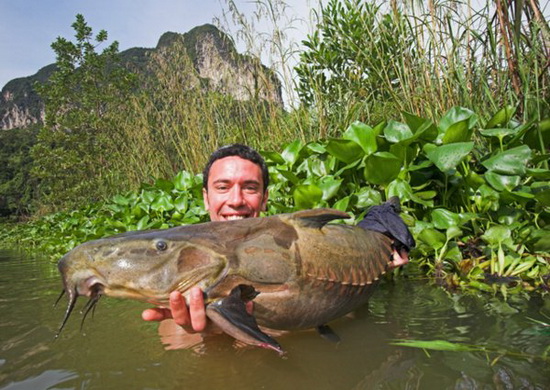 november2010_0051_Rob_ripsaw__catfish_resize.jpg