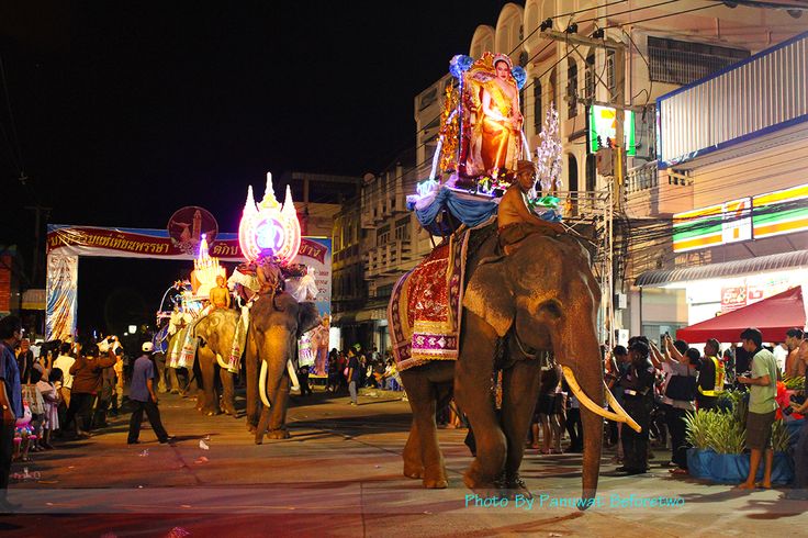 surin_elephant.jpg