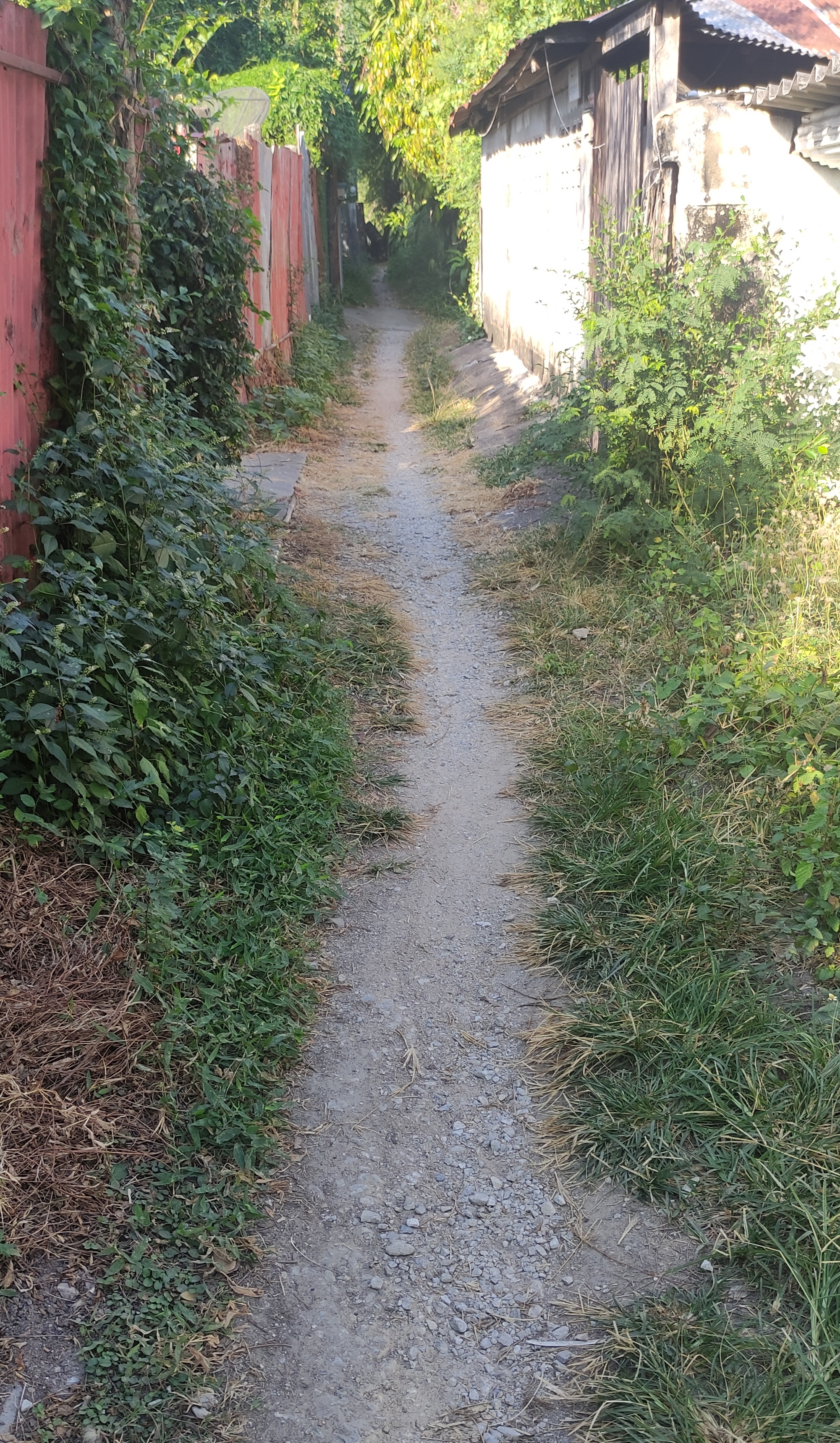 img_20231206_211923.jpg