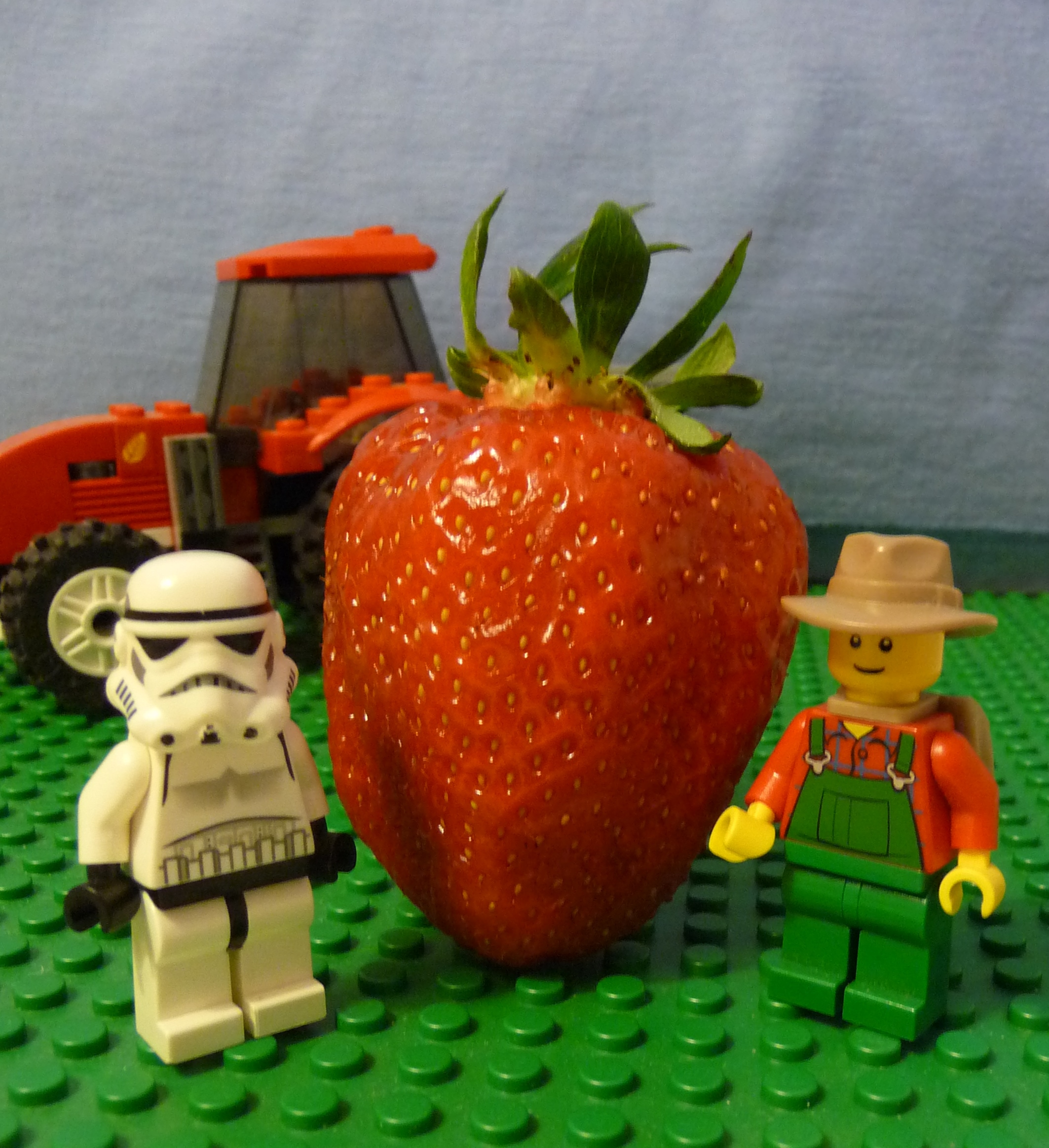 2014-07-06 strawberry.jpg