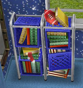 preteen-bookshelf-1.jpg