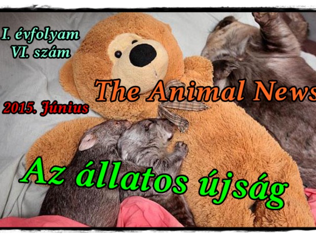 The Animal News ~ 2015. Június