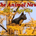 The Animal News ~ 2015. Április