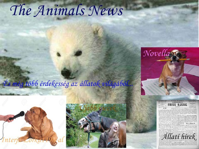 The Animal News ~ 2015 Február