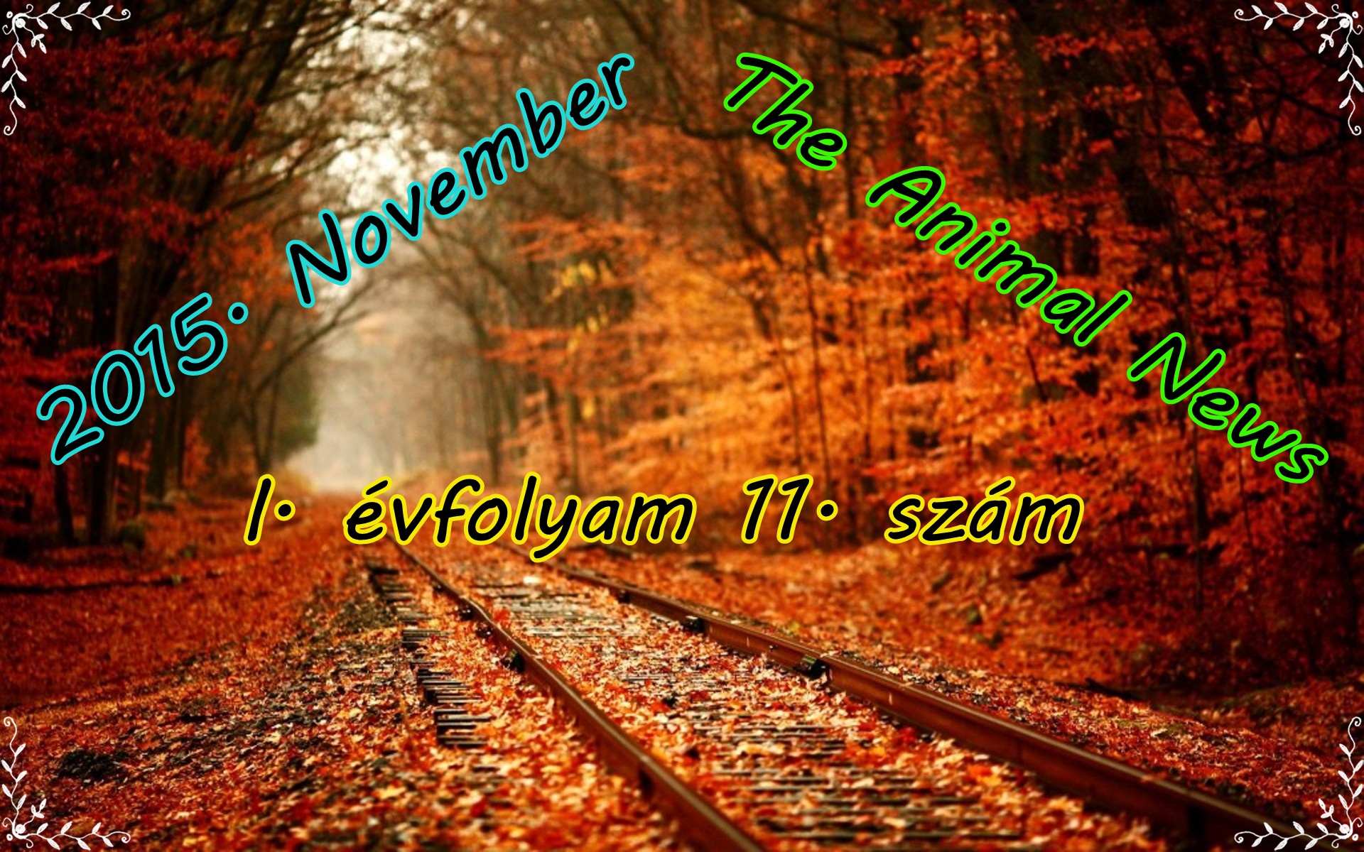 autumn-november-10888.jpeg