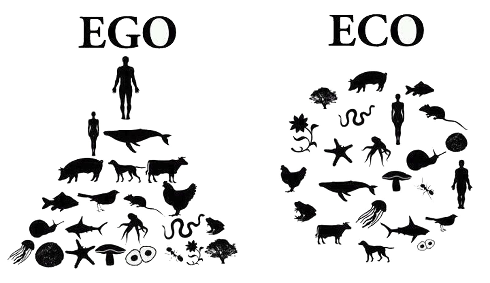 ego-eco_vegleges.jpg