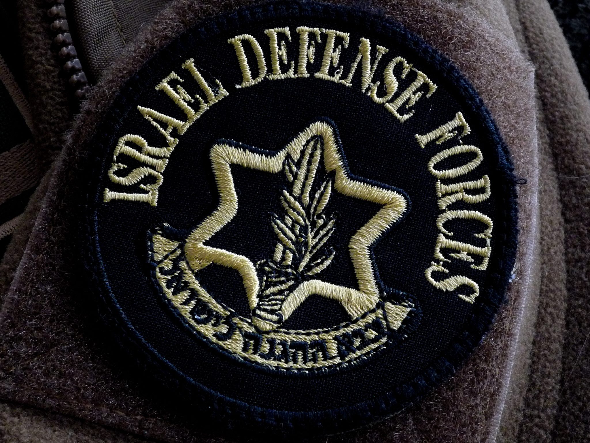 israeli-defense-forces-emblem-by-harry-r.jpg