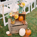 Extrém esküvők – Ha bevállalós vagy, akkor halloweeni esküvő