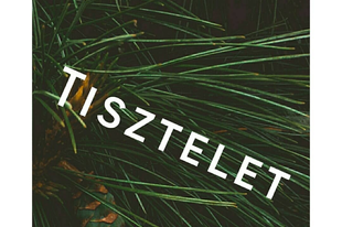 19. nap - TISZTELET