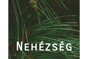 16. nap - NEHÉZSÉG