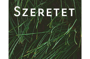 20. nap - SZERETET