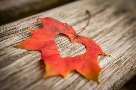 16158812-a-heart-in-an-autumn-leaf-on-a-background-of-grained-wood-.jpg