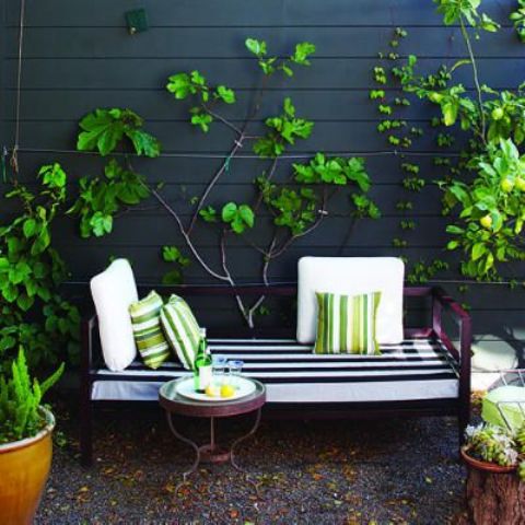decoration-for-balck-wall-garden-decorating-ideas-furniture-and-climbiing-planters-to-create-nice-terrace-ince-stripes-with-outdoor-small-terrace.jpg